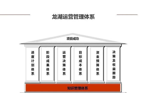 龍湖企業管理與運營精細化管理策略探析